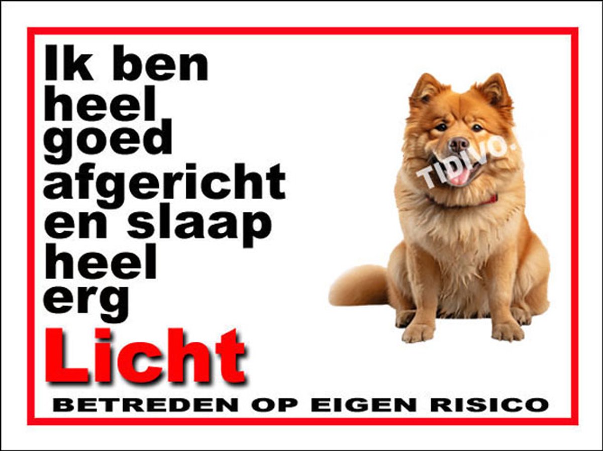 Chow Chow 4