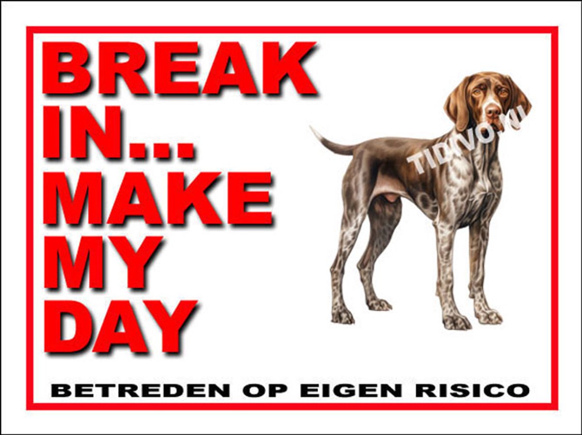 Duitse Staande Hond 1