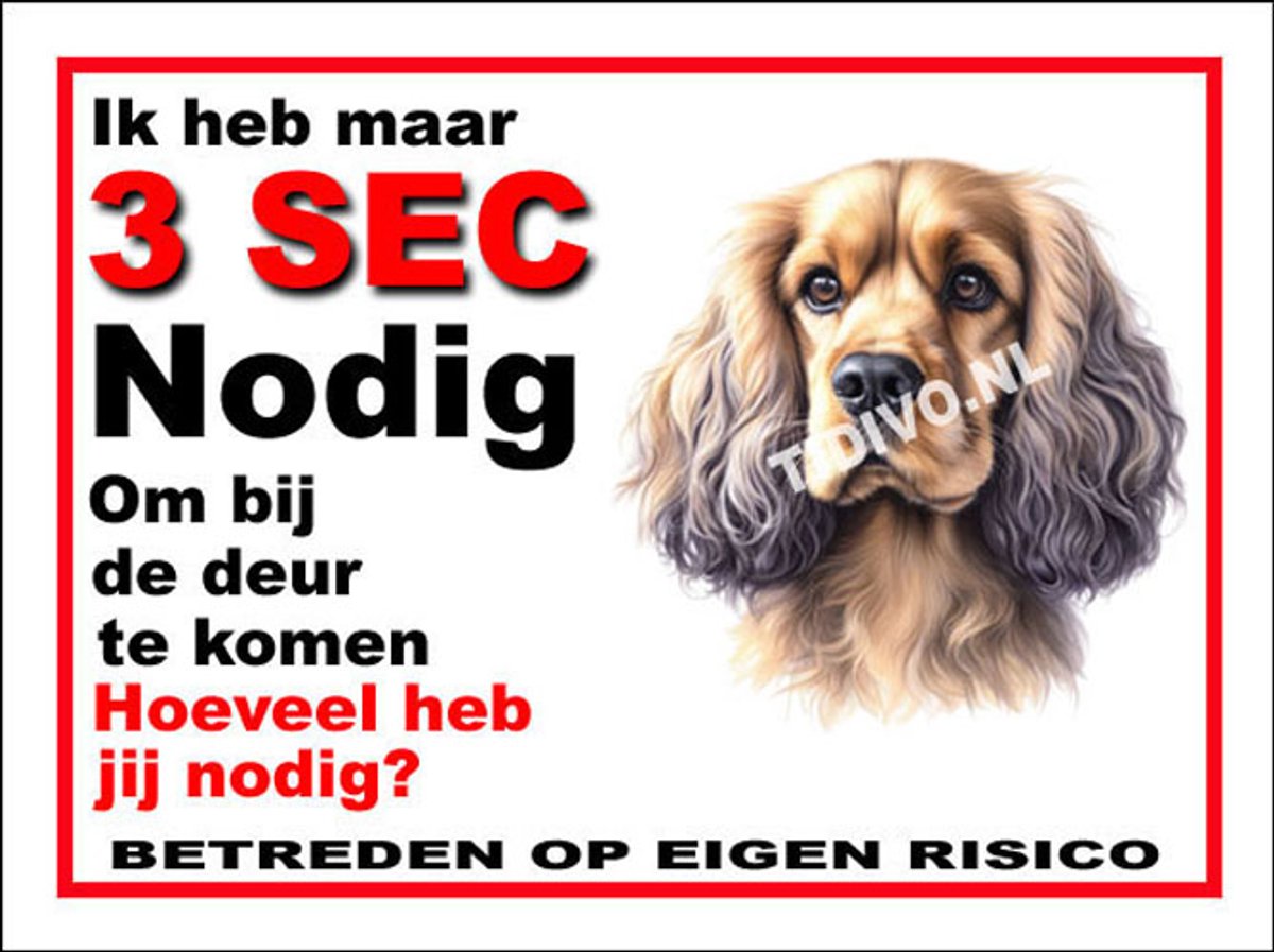 Cocker Spaniel 6