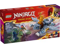 LEGO Ninjago Jonge draak Riyu - 71810