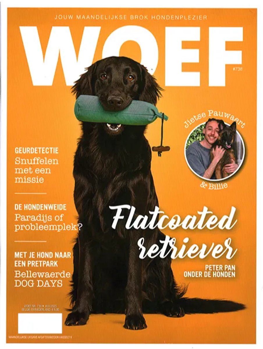 Woef - 738 2025