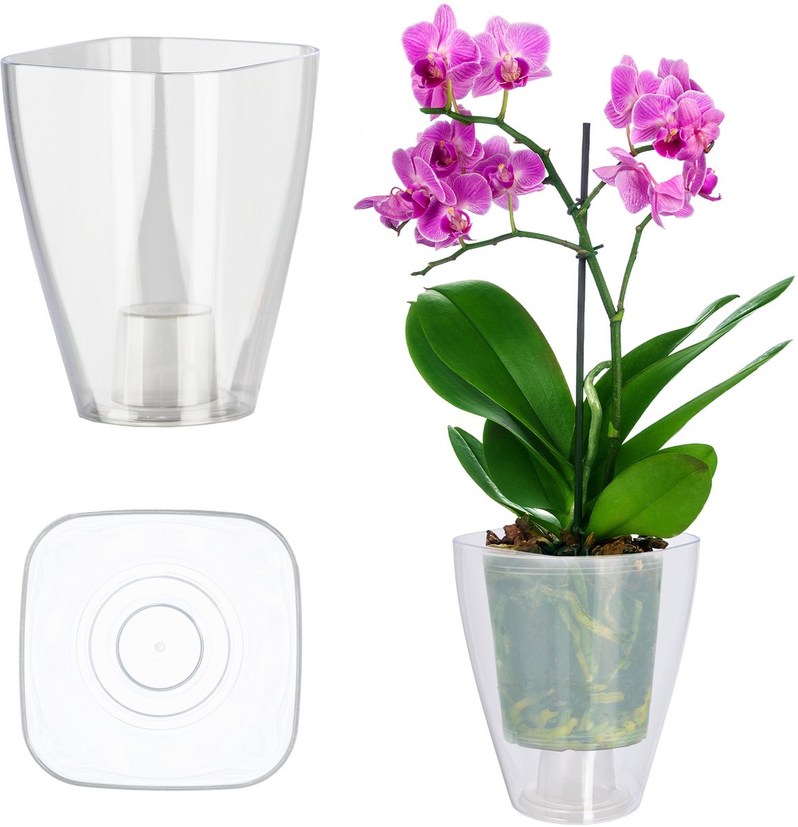 KADAX Bloempot, orchideeënpot, eenvoudige bloempot voor orchidee, juveniel, madeliefje, bloempot voor keuken en woonkamer (diameter 9 cm, rechthoekig, transparant)