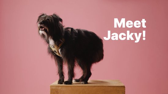 Couverture XXL Jake et Jacky