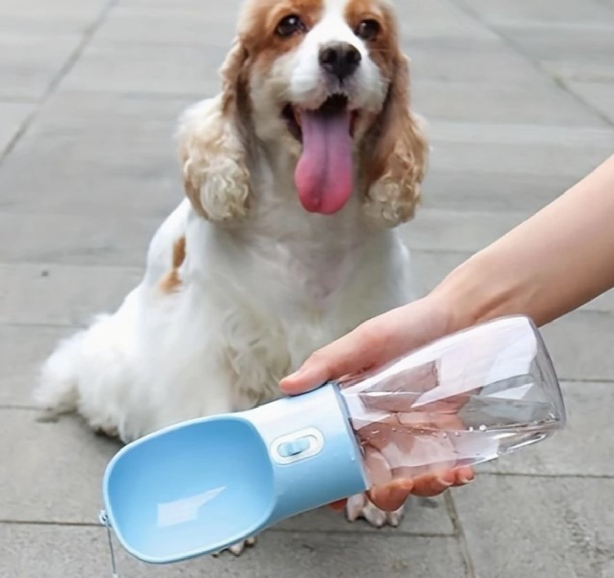 Drinkfles honden onderweg - Drinkfles honden - 550 ML