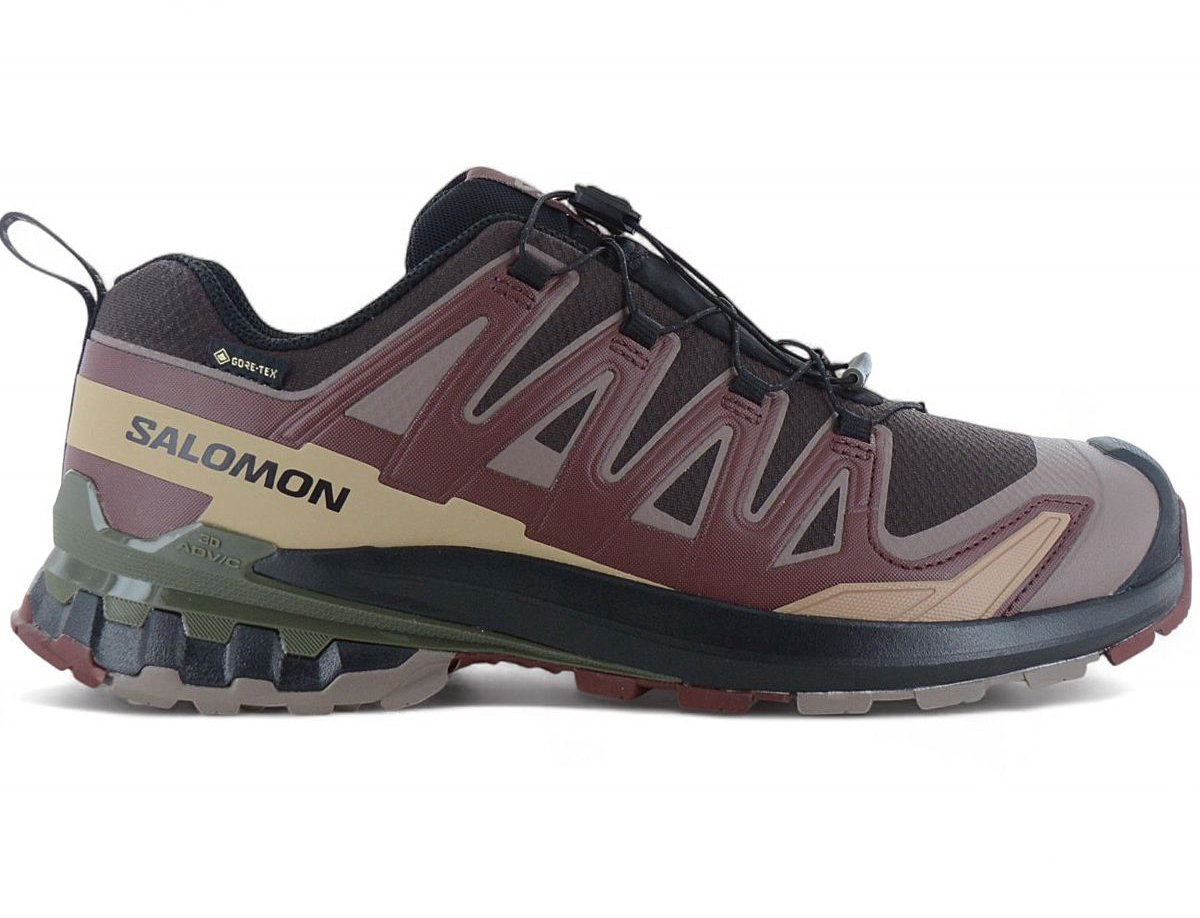 Salomon XA PRO 3D V9 GTX GORE-TEX Heren Wandelschoenen Trailschoenen 475835 1/3 Bruin