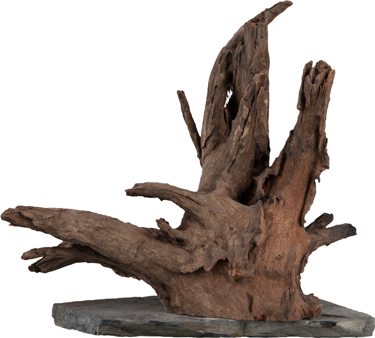 Sera Scaper Wood L - 30-35CM
