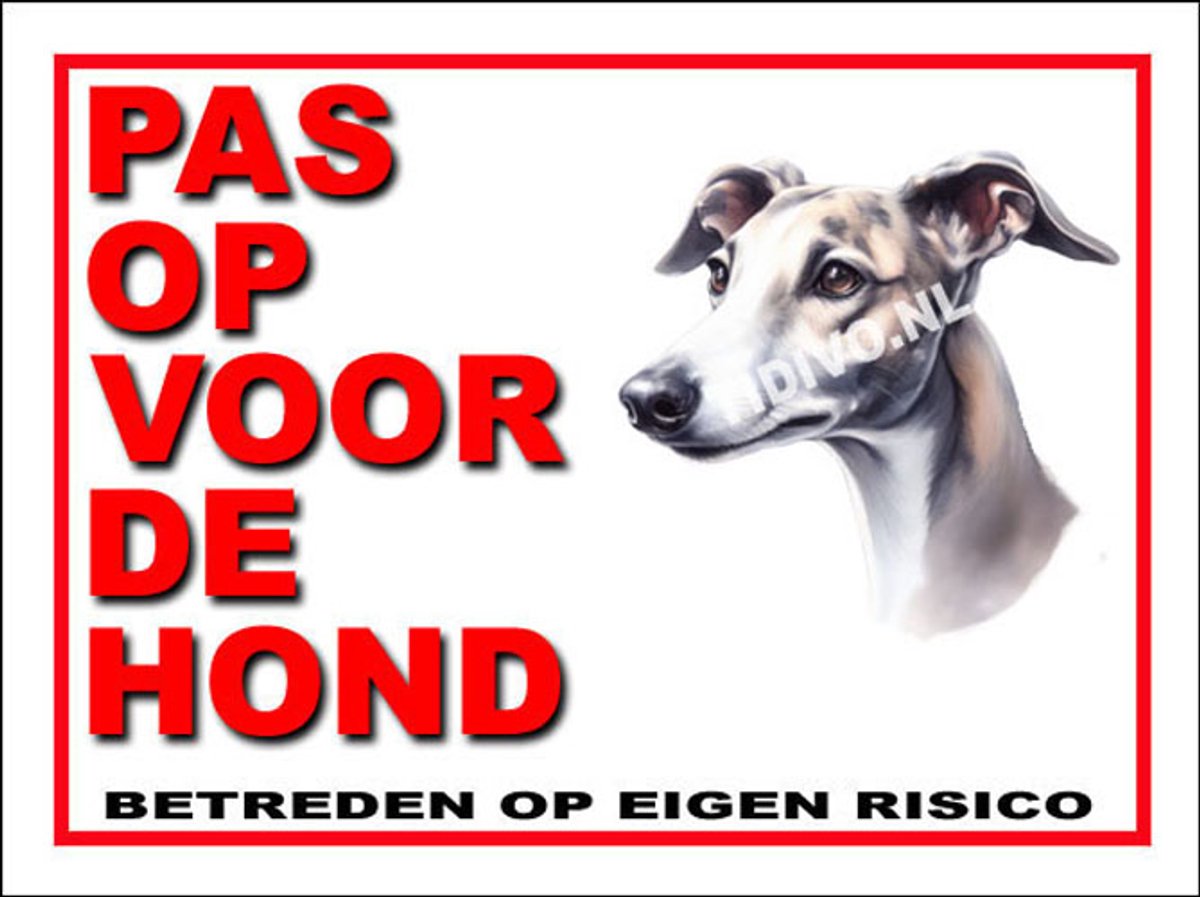 Greyhound 13