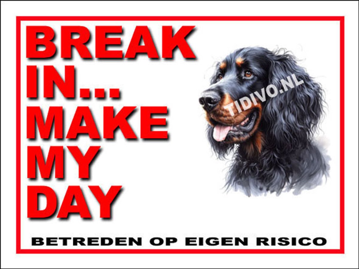 Gordon Setter 1