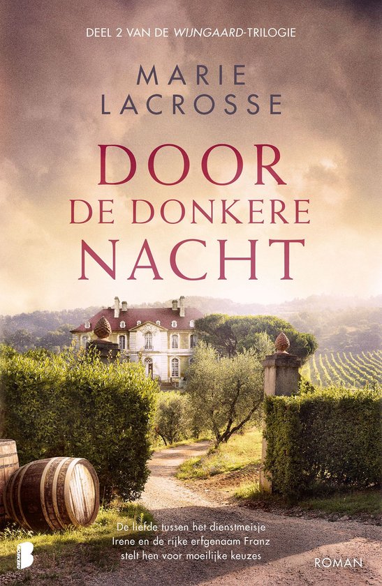 Wijngaard 2 - Door de donkere nacht - cover
