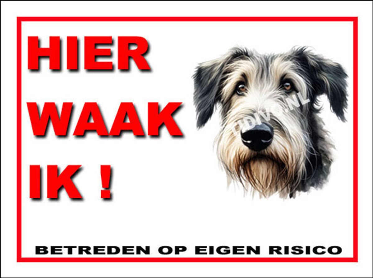 Ierse Wolfshond 3