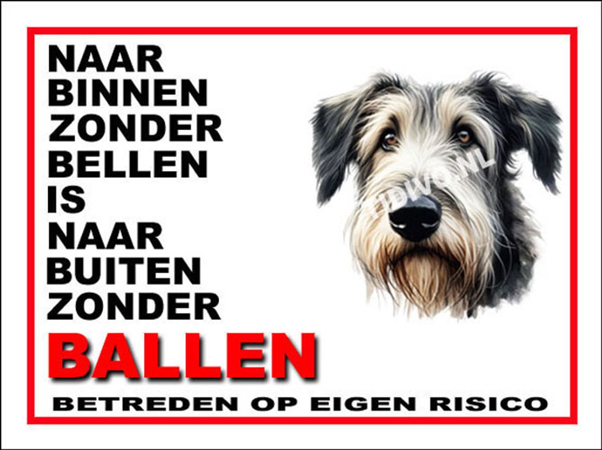 Ierse Wolfshond 11