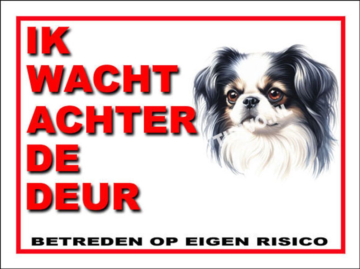 Japanse Spaniel 10