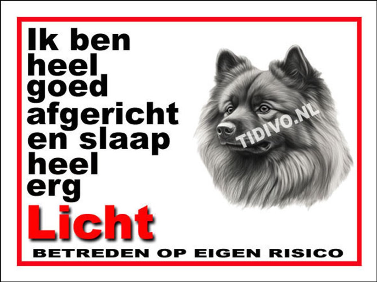 Keeshond 4