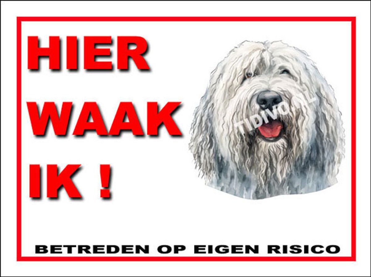 Komondor 3