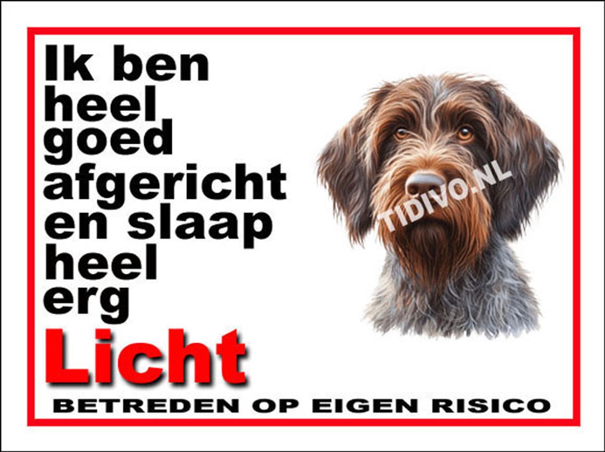 Griffon Pointing 4