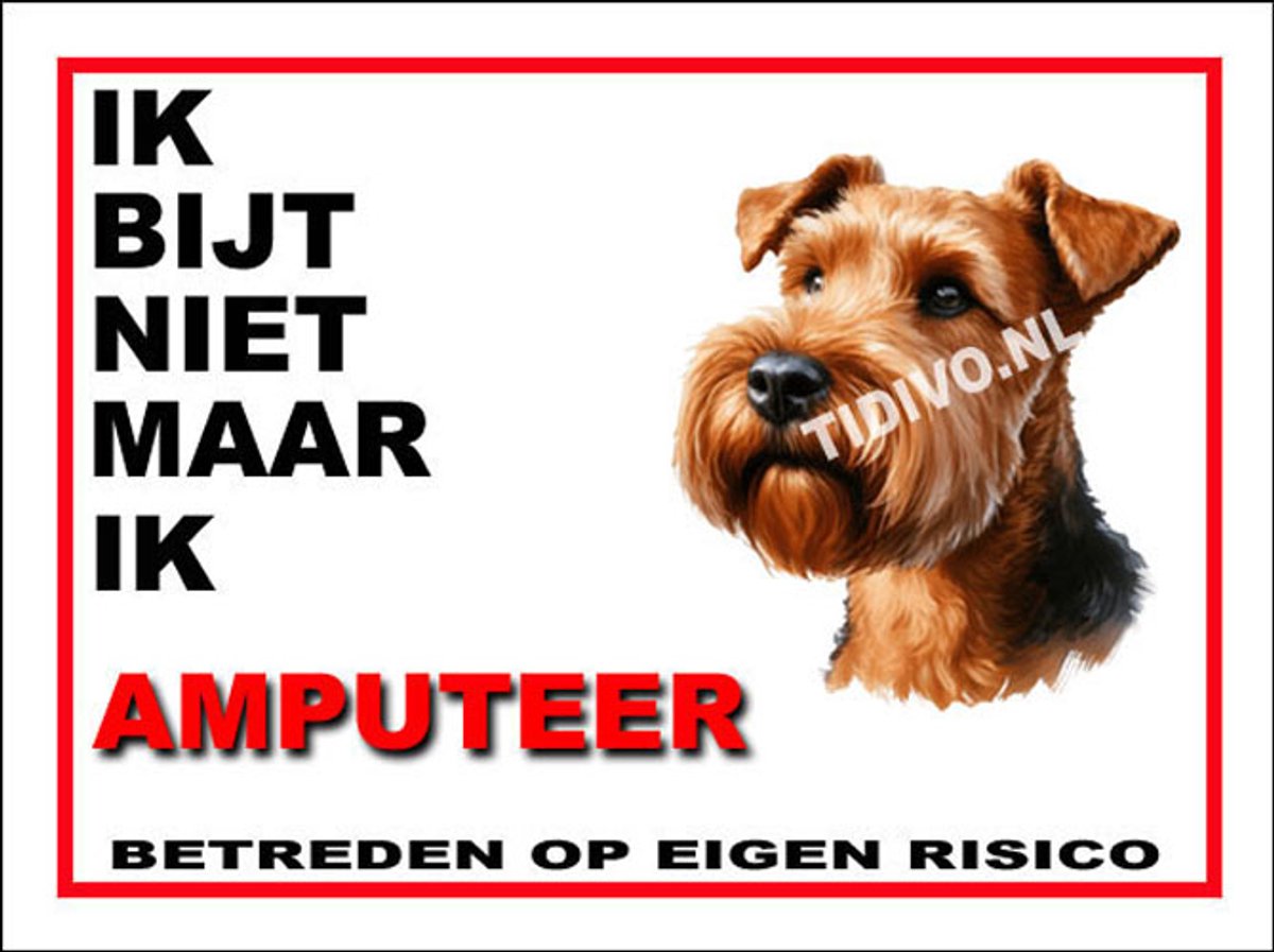 Ierse Terrier 5