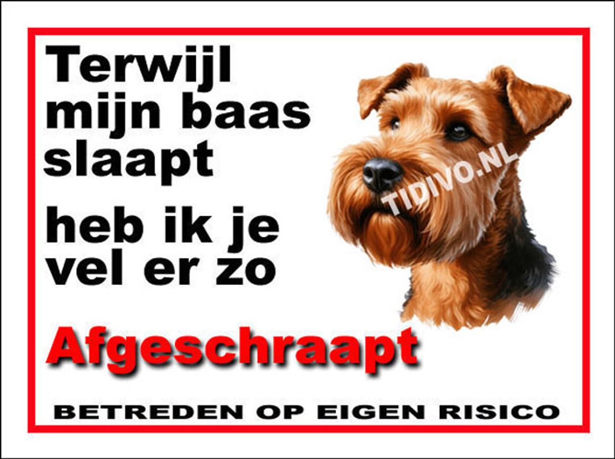 Ierse Terrier 15