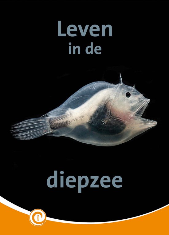 Een doorzichtige, platte vis met een grote bek en puntige stekels zwemt in de zwarte diepzee.