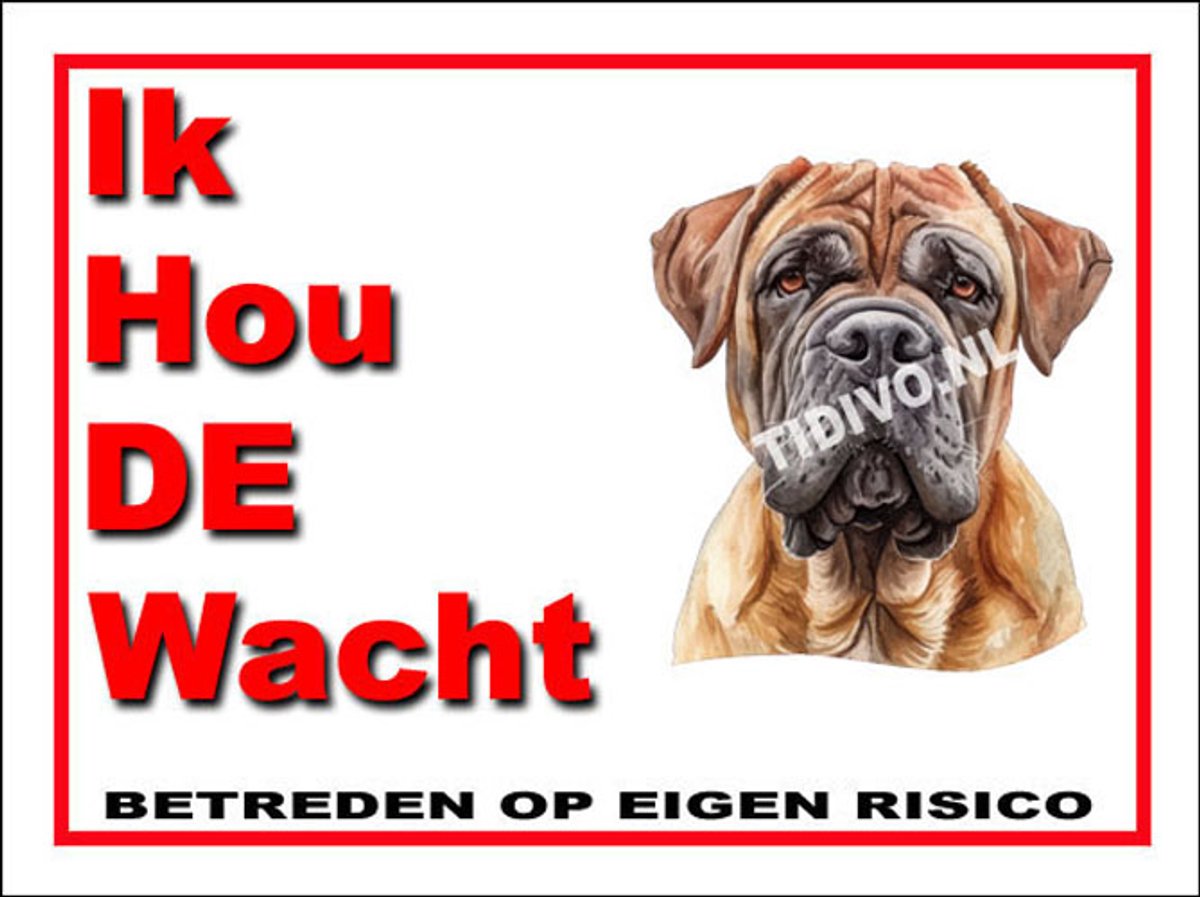Kurdish Mastiff 7