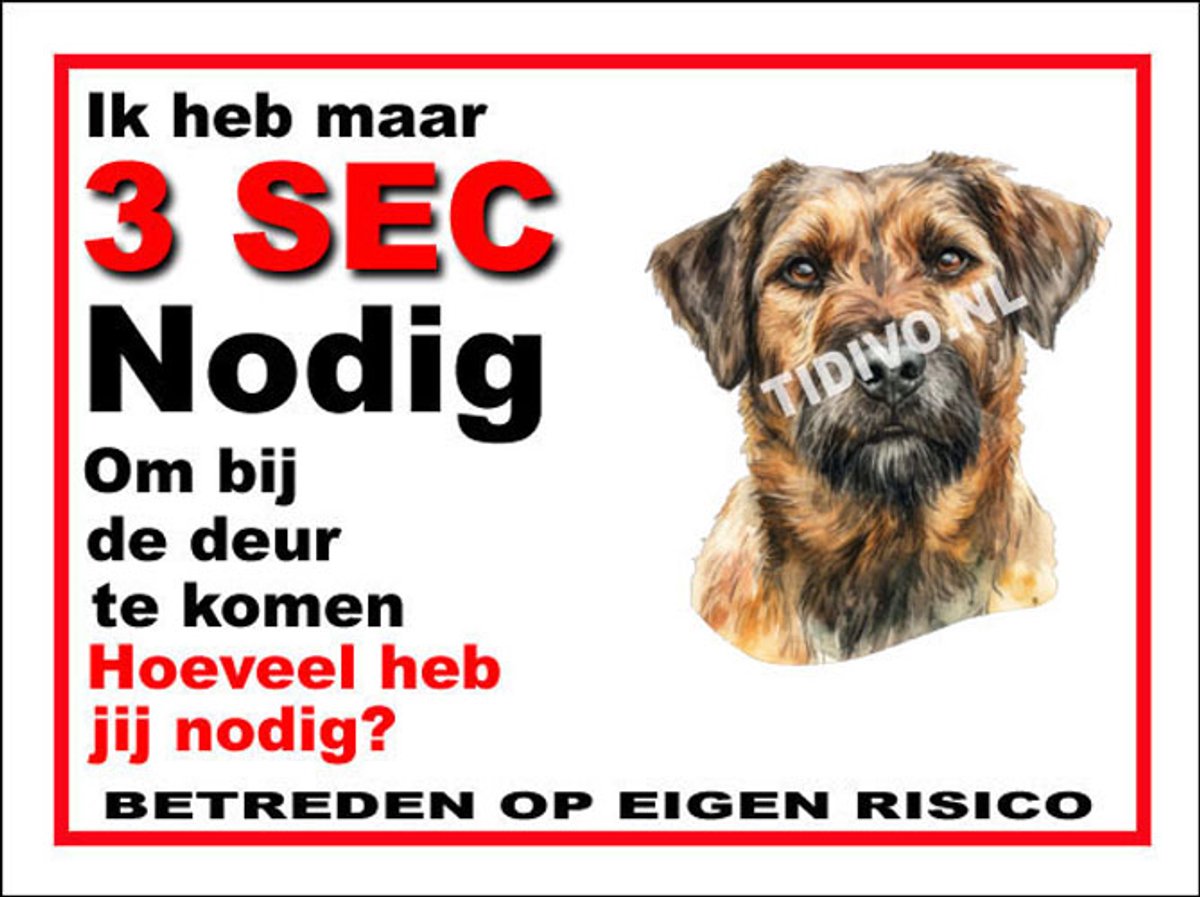 Kromfohrländer 6
