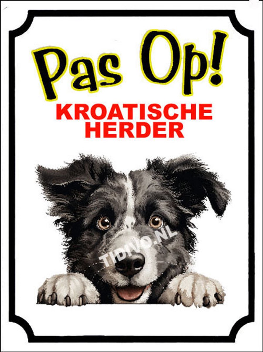 Kroatische Herder 16