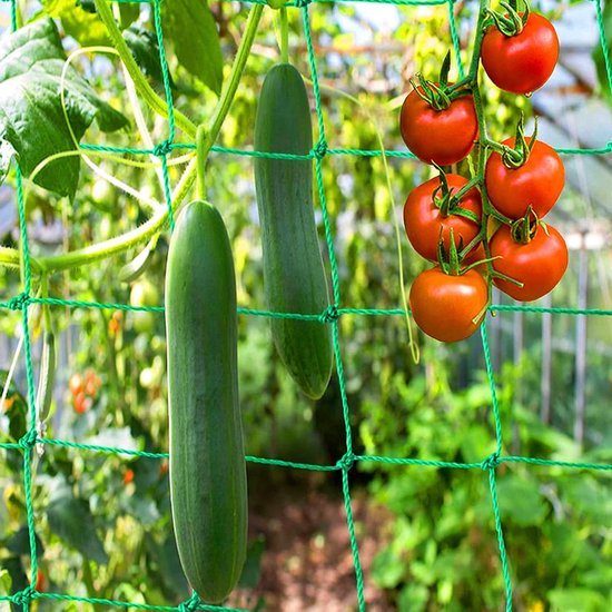 Tuingaas kopen | Op rol & groen | Snelle levering
