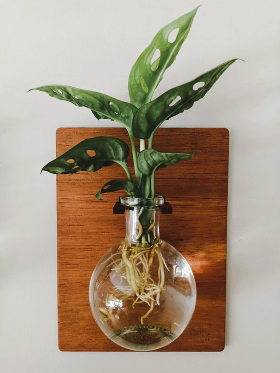 Woodvibes Hangende Muurvaas voor Planten