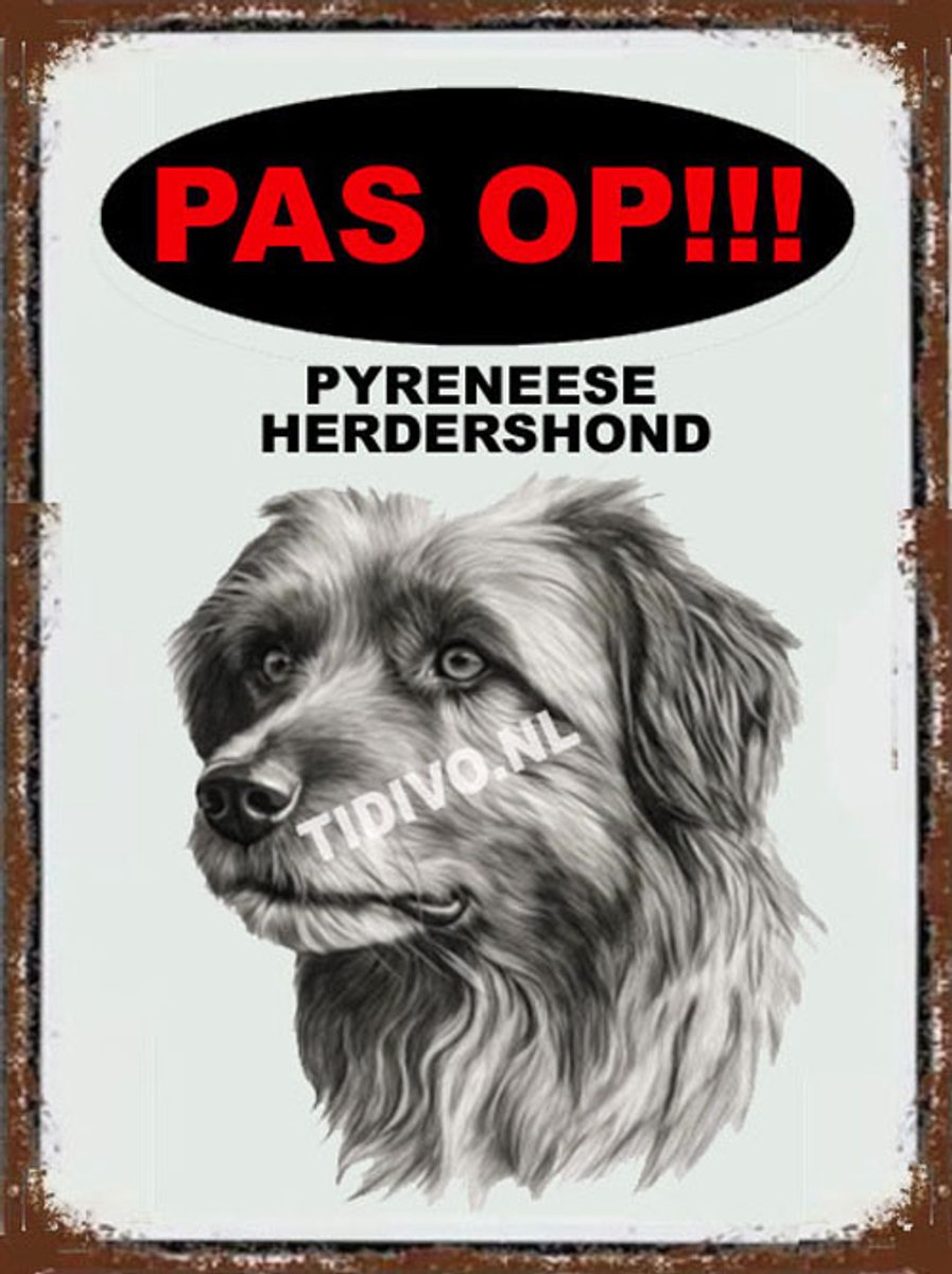 Pyreneese Herdershond 17