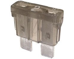 10x Steekzekering 2 Ampere Grijs Elektrawebshop