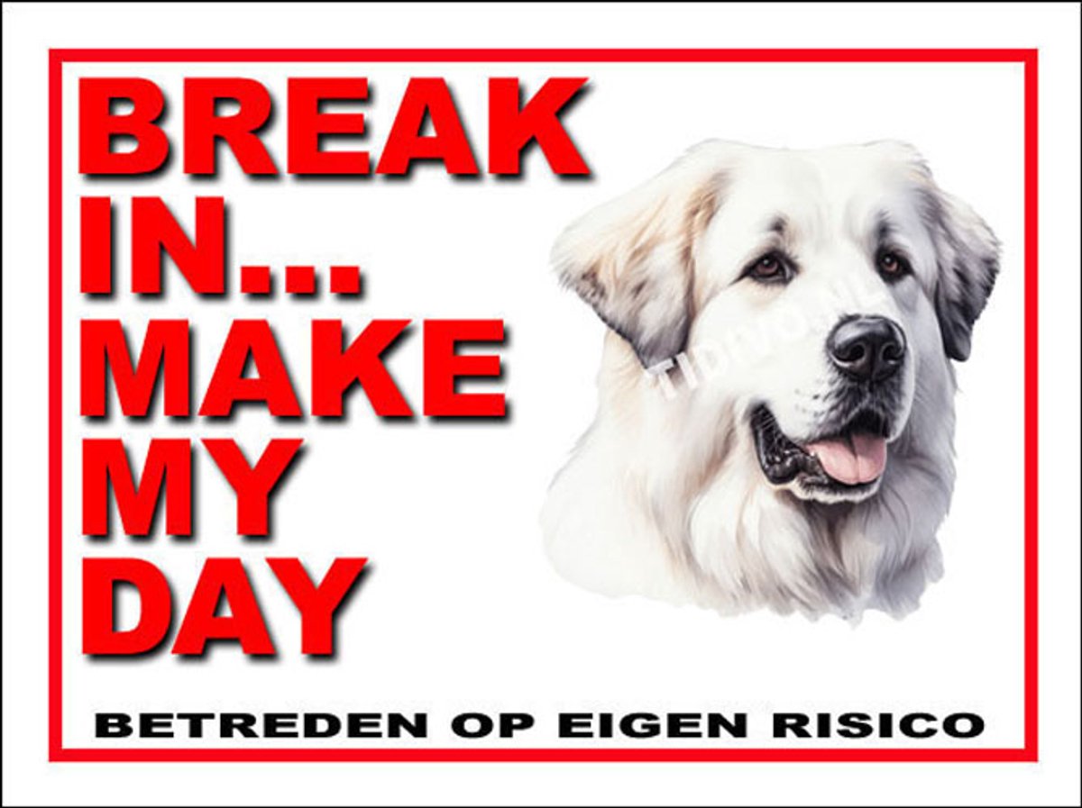 Pyreneese Berghond 1