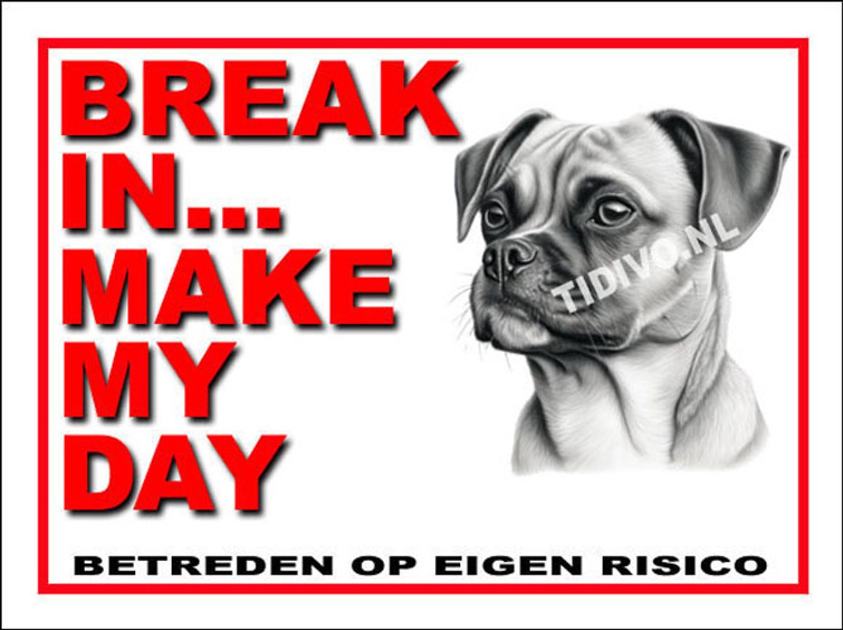 Puggle 1