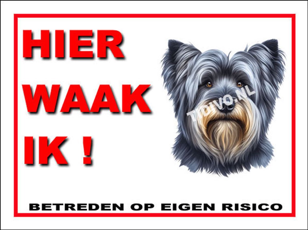 Skye Terrier 3