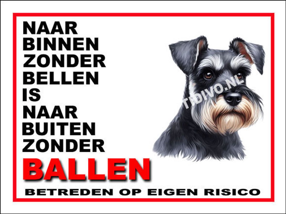 Schnauzer 11