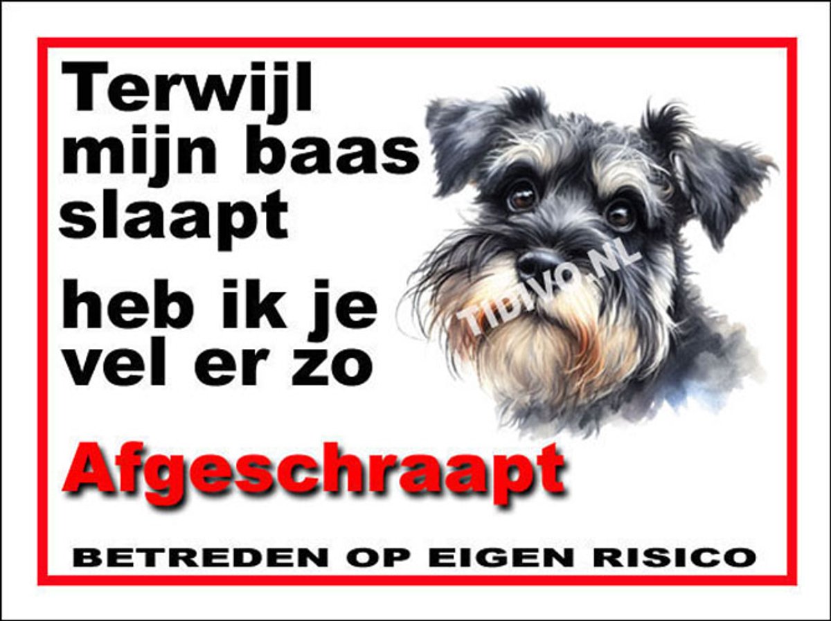 Schnauzer Miniatuur 15