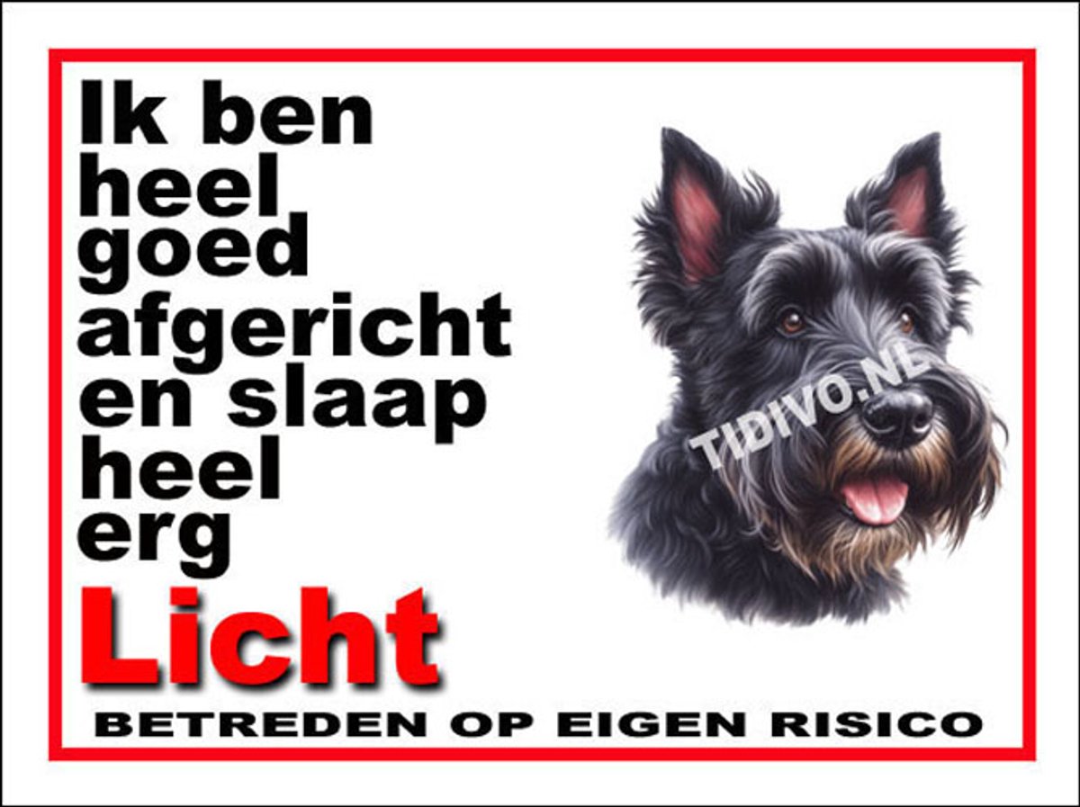 Schotsche Terrier 4