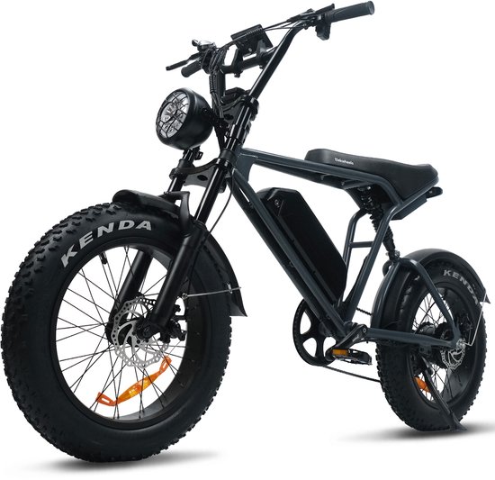 Elektrische Fiets Elekwhe...