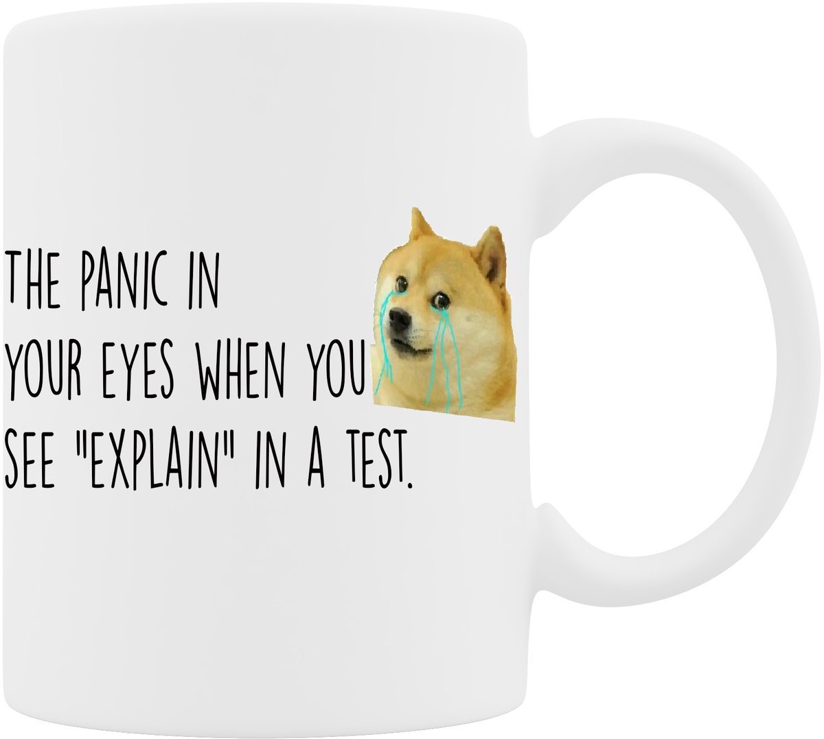 Mok - Explain on Test - Het Perfecte Back to School cadeau en om paniek te omarmen