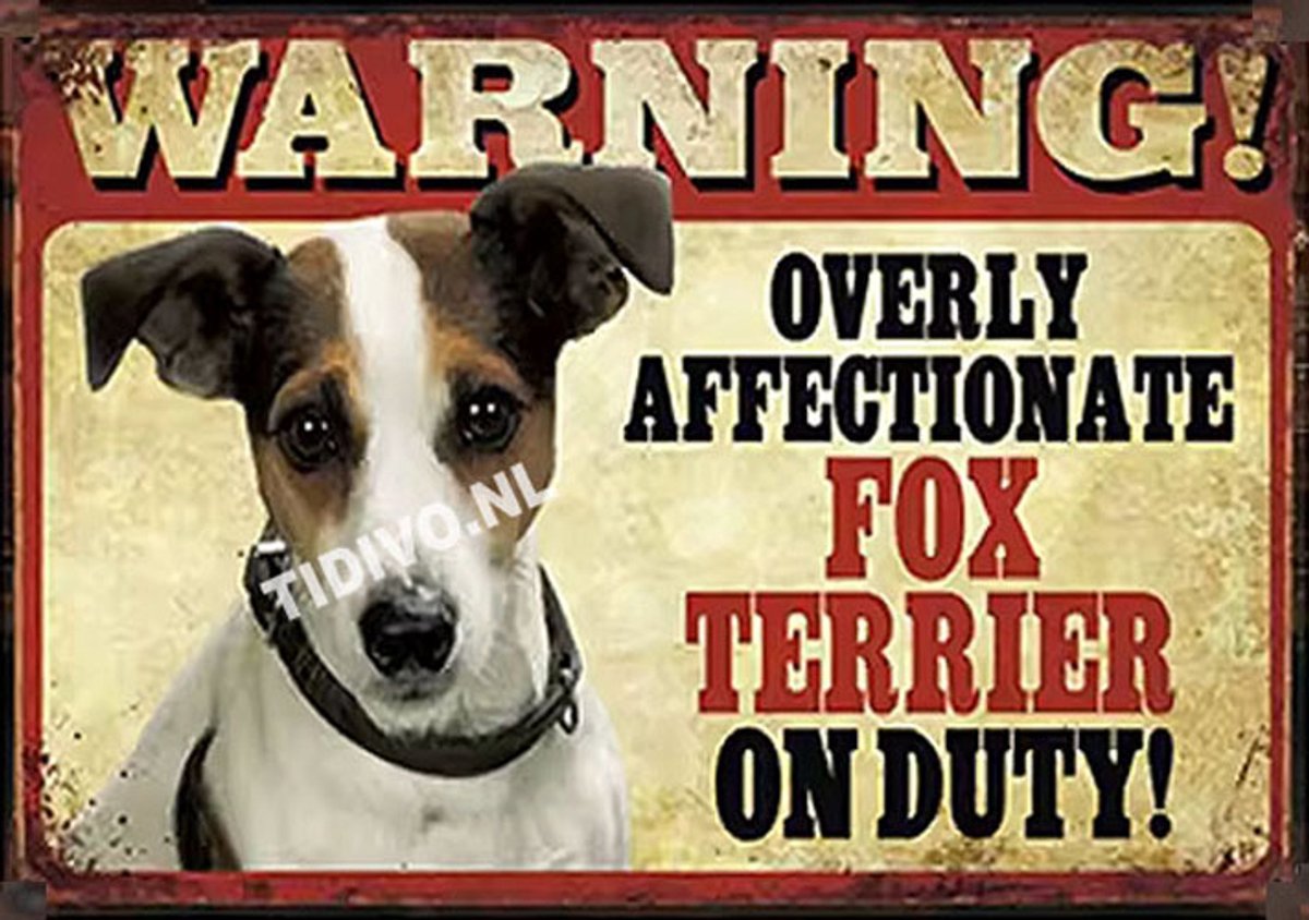 Fox Terrier 21