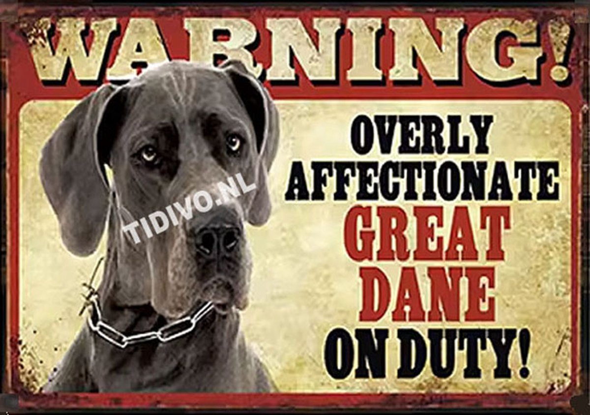 Duitse Dog 21