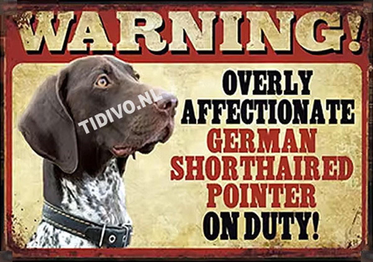 Pointer 21
