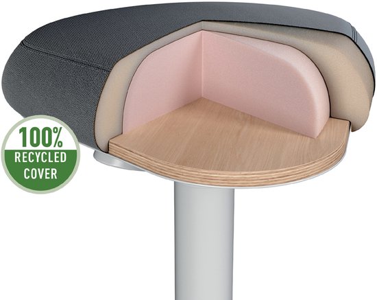 Leitz Ergo Active Zitkruk met Comfortzitting - Bureaukruk - Ergonomische Kruk - Donkergrijs