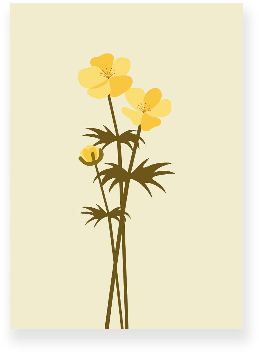 Yisual Aluminium plaat 20x30 cm - Poster - Boterbloemen - Bloemen - Planten - Geel - Bruin - Minimalistisch - Botanisch - Muurdecoratie - Wanddecoratie