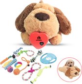 KoningBen® Hartslagknuffel + 12-delige Honden Speelgoedset – Compleet Pakket voor Puppy’s & Middelgrote Honden – Anti-Verlatingsangst – Comfort & Speelplezier – Wasbare Knuffel + Kauwspeelgoed + Opbergzak