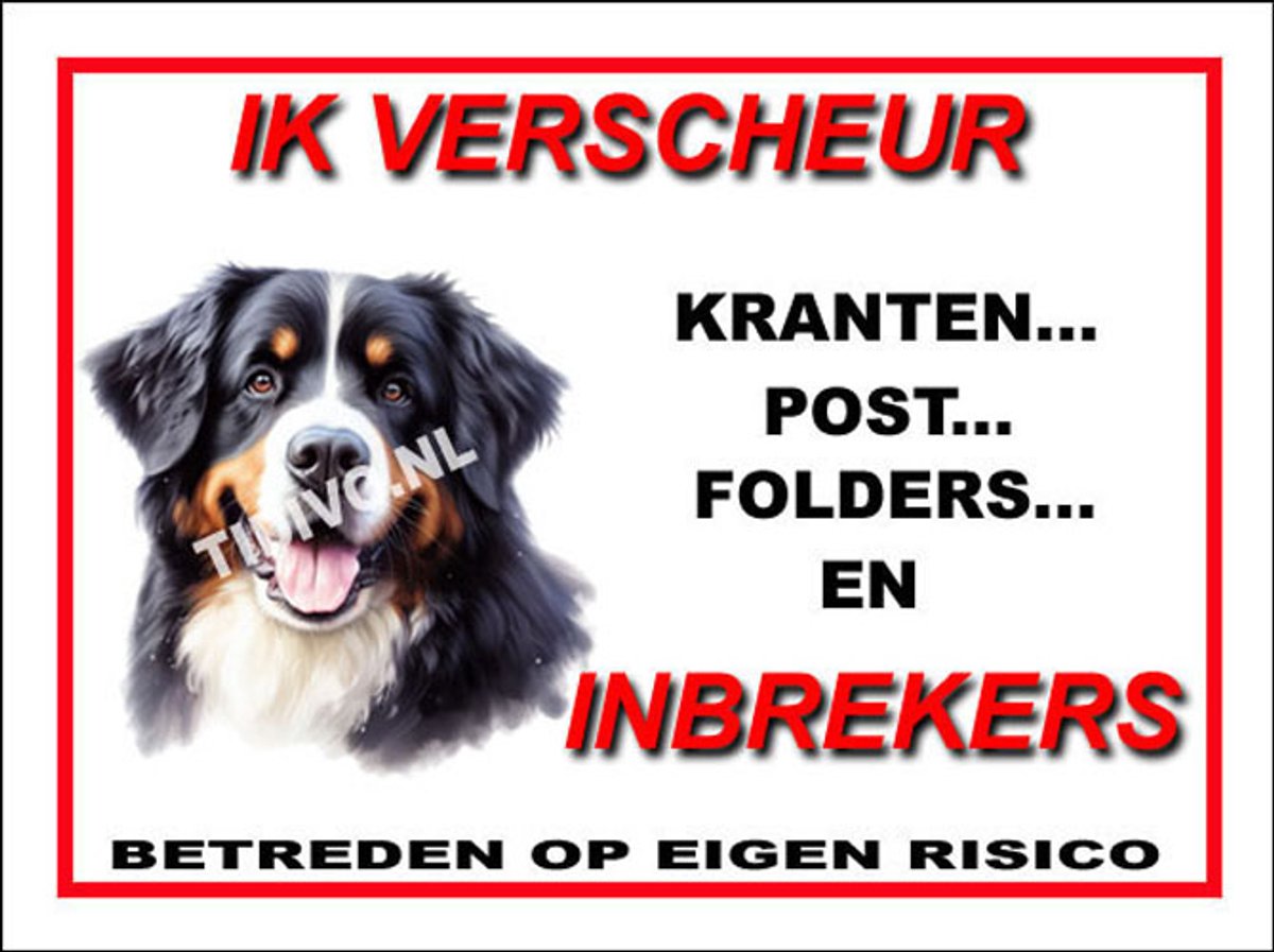 Berner Sennenhond 8