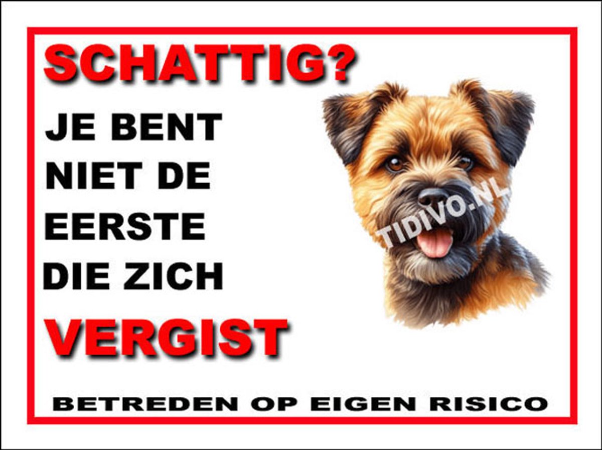 Border Terrier 14