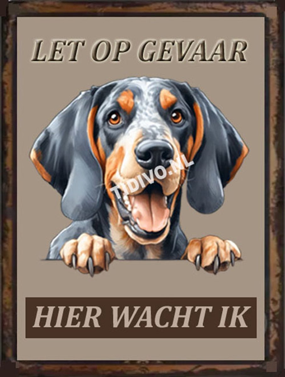 Bluetick Coonhound 18