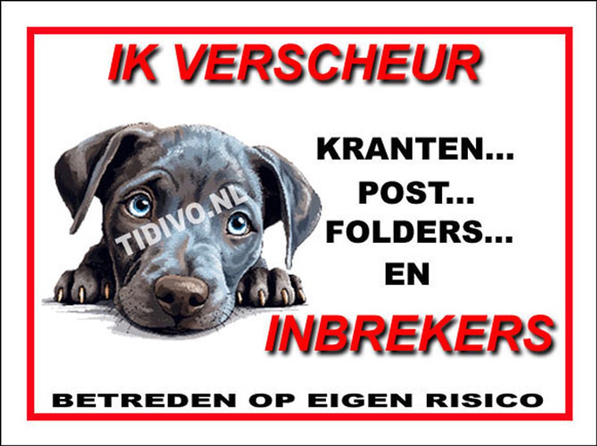 Blue Lacy 8