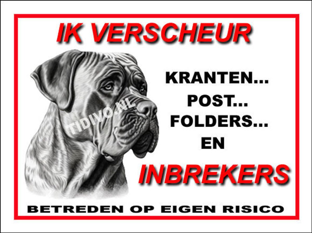 Boerboel 8