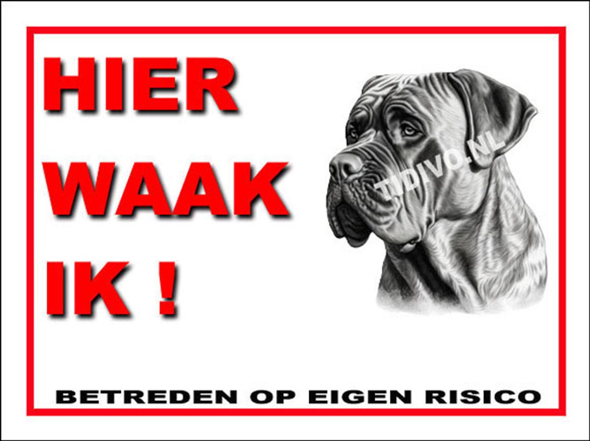 Boerboel 3