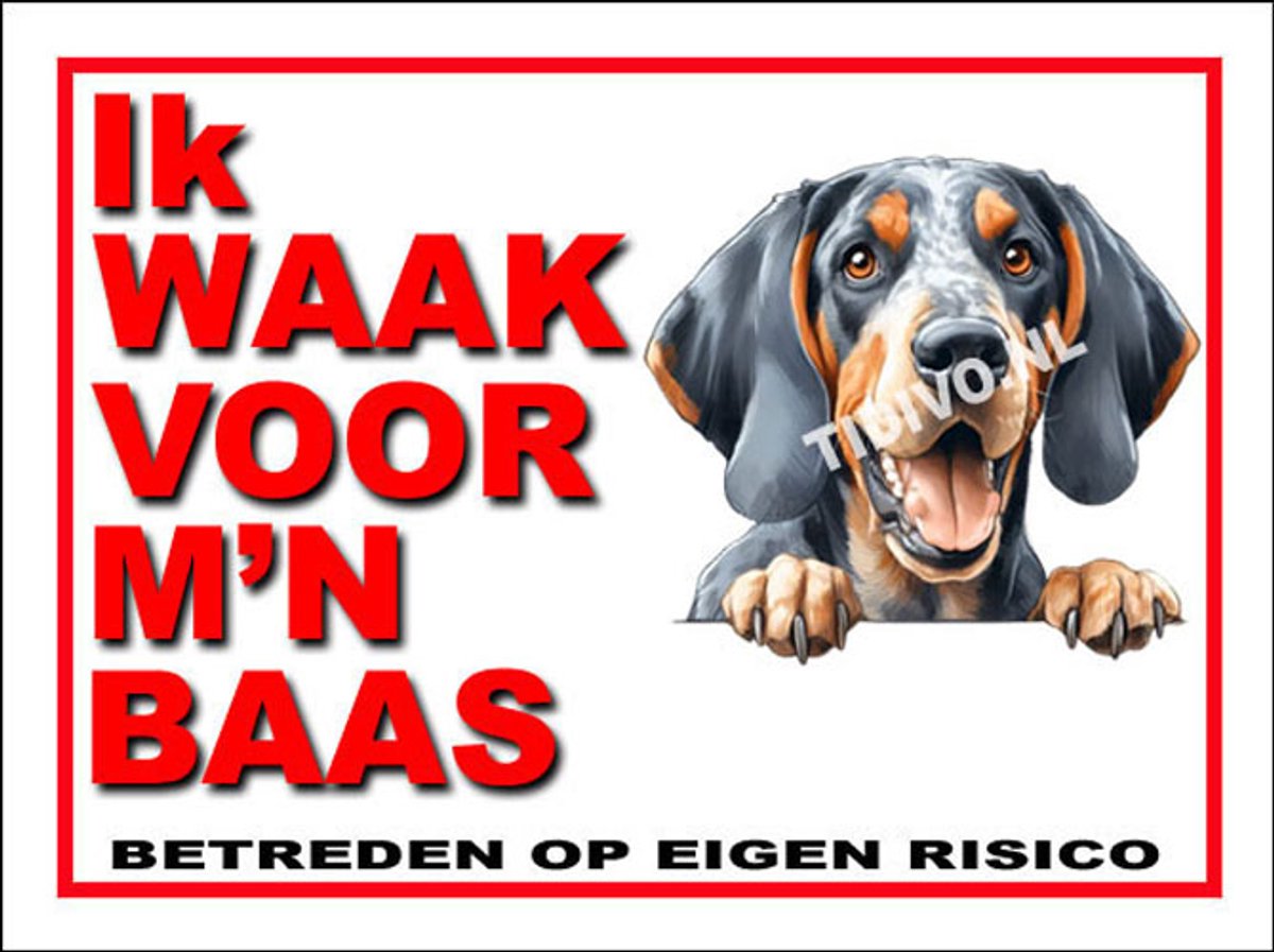 Bluetick Coonhound 9